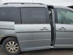 Marlboro, NY에서 판매 중인 2008 Honda Odyssey Exl - Front End