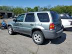 2006 Ford Escape Xlt for Sale in Marlboro, NY - Minor Dent/Scratches