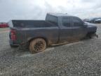 Gainesville, GA에서 판매 중인 2019 Chevrolet Silverado K1500 Trail Boss Custom - All Over