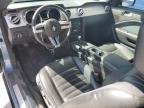 2005 Ford Mustang Gt for Sale in Farr West, UT - All Over