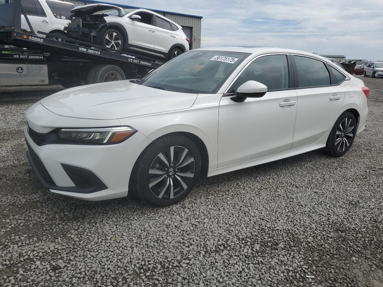 2024 Honda Civic Ex продається в Earlington, KY - Hail