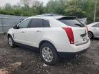 2011 Cadillac Srx Luxury Collection for Sale in Marlboro, NY - Normal Wear