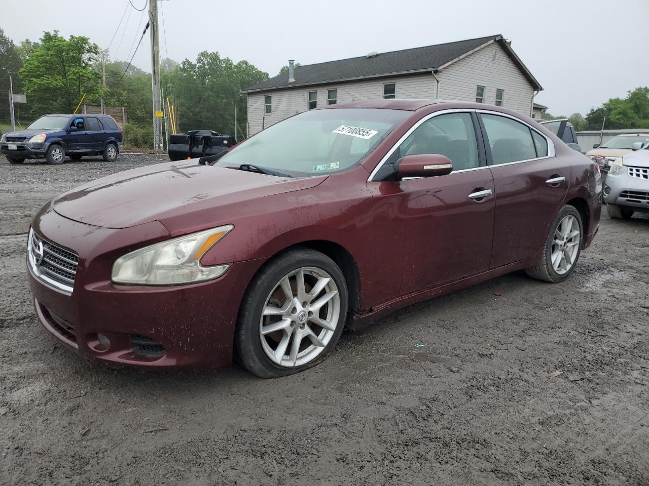 2010 Nissan Maxima S na sprzedaż w York Haven, PA - Rear End