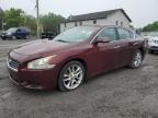 2010 Nissan Maxima S na sprzedaż w York Haven, PA - Rear End