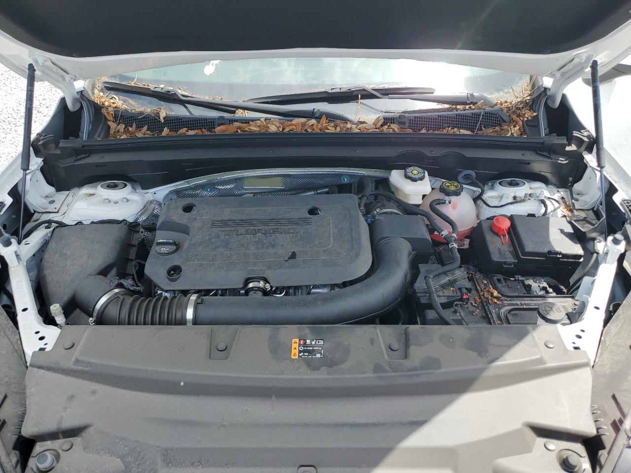 2024 Buick Envision Preferred VIN: LRBFZME47RD015649 Lot: 48111985