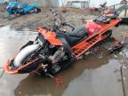 2018 Pola Snowmobile zu verkaufen in Anchorage, AK - All Over