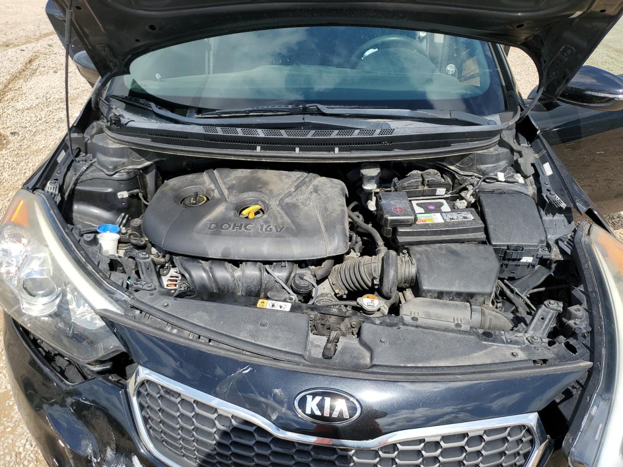 2016 Kia Forte Lx VIN: KNAFX4A6XG5597359 Lot: 55463655