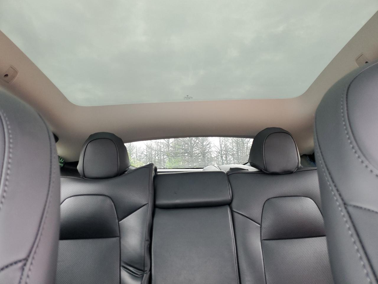 2023 Tesla Model Y VIN: 7SAYGDEE7PF893695 Lot: 56712845
