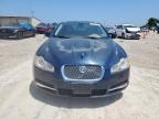 2009 Jaguar Xf Luxury за продажба в Temple, TX - Hail