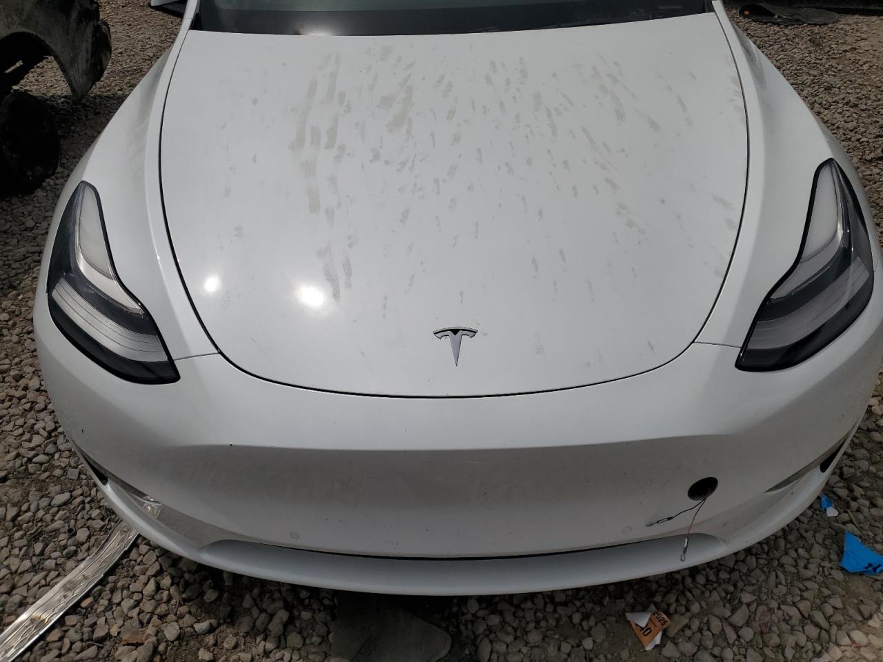 2020 Tesla Model Y VIN: 5YJYGDEF3LF028061 Lot: 57493175