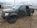 Bismarck, ND에서 판매 중인 2010 Ford F150 Supercrew - Side