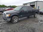 2014 Ford F150 Supercrew na sprzedaż w Duryea, PA - Front End