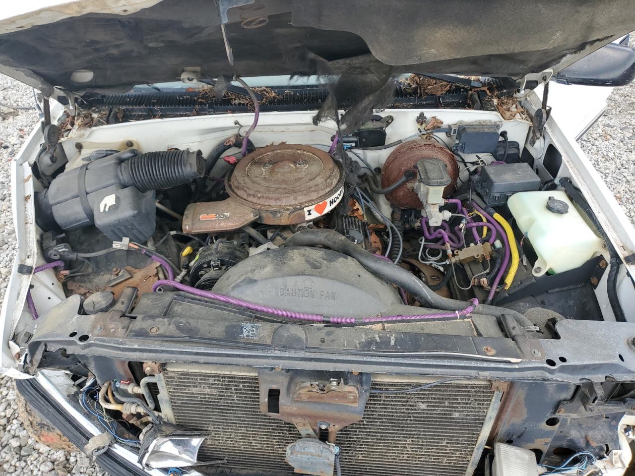 1995 Chevrolet Gmt-400 C1500 VIN: 1GBEC14K0SZ268239 Lot: 56574245