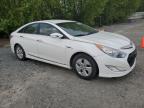 2011 Hyundai Sonata Hybrid на продаже в Arlington, WA - Rear End