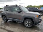 2019 Jeep Renegade Trailhawk for Sale in Littleton, CO - Hail