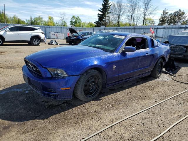2013 FORD MUSTANG    for sale at Copart ON - TORONTO