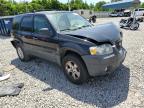 2007 Ford Escape Xlt for Sale in Memphis, TN - Front End