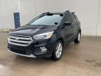 2019 Ford Escape Sel zu verkaufen in Oklahoma City, OK - Minor Dent/Scratches