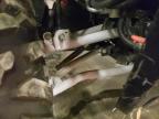 2022 POLARIS RANGER XP 1000 NORTHSTAR TRAIL BOSS for sale at Copart MN - ST. CLOUD