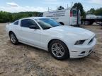 2014 Ford Mustang  for Sale in China Grove, NC - Rear End