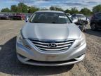 2011 Hyundai Sonata Gls იყიდება Hillsborough-ში, NJ - Minor Dent/Scratches