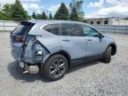2020 Honda Cr-V Ex zu verkaufen in Albany, NY - Rear End