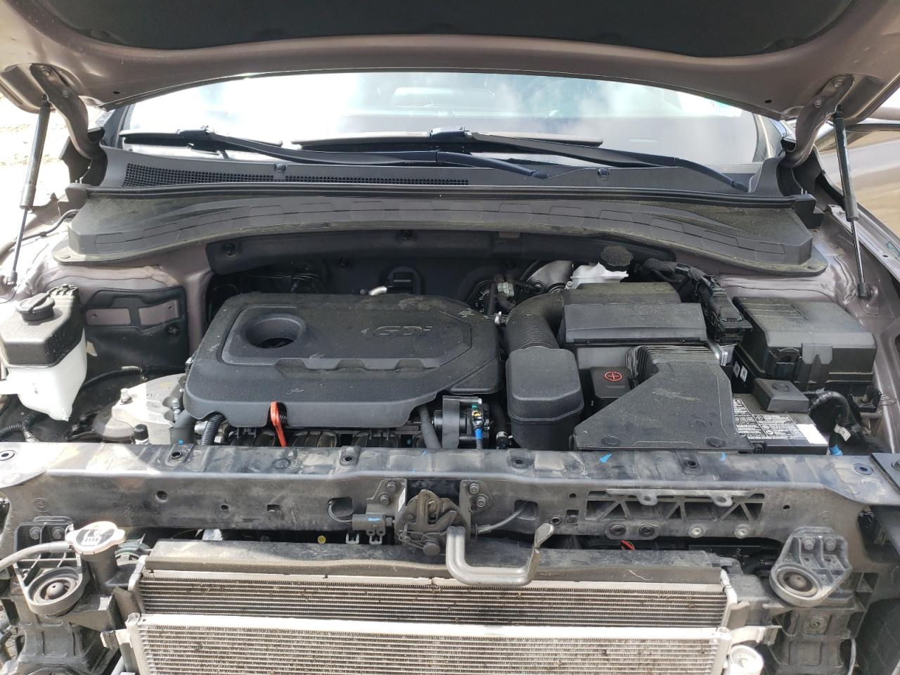 2020 Hyundai Santa Fe Sel VIN: 5NMS3CAD8LH217870 Lot: 56844245