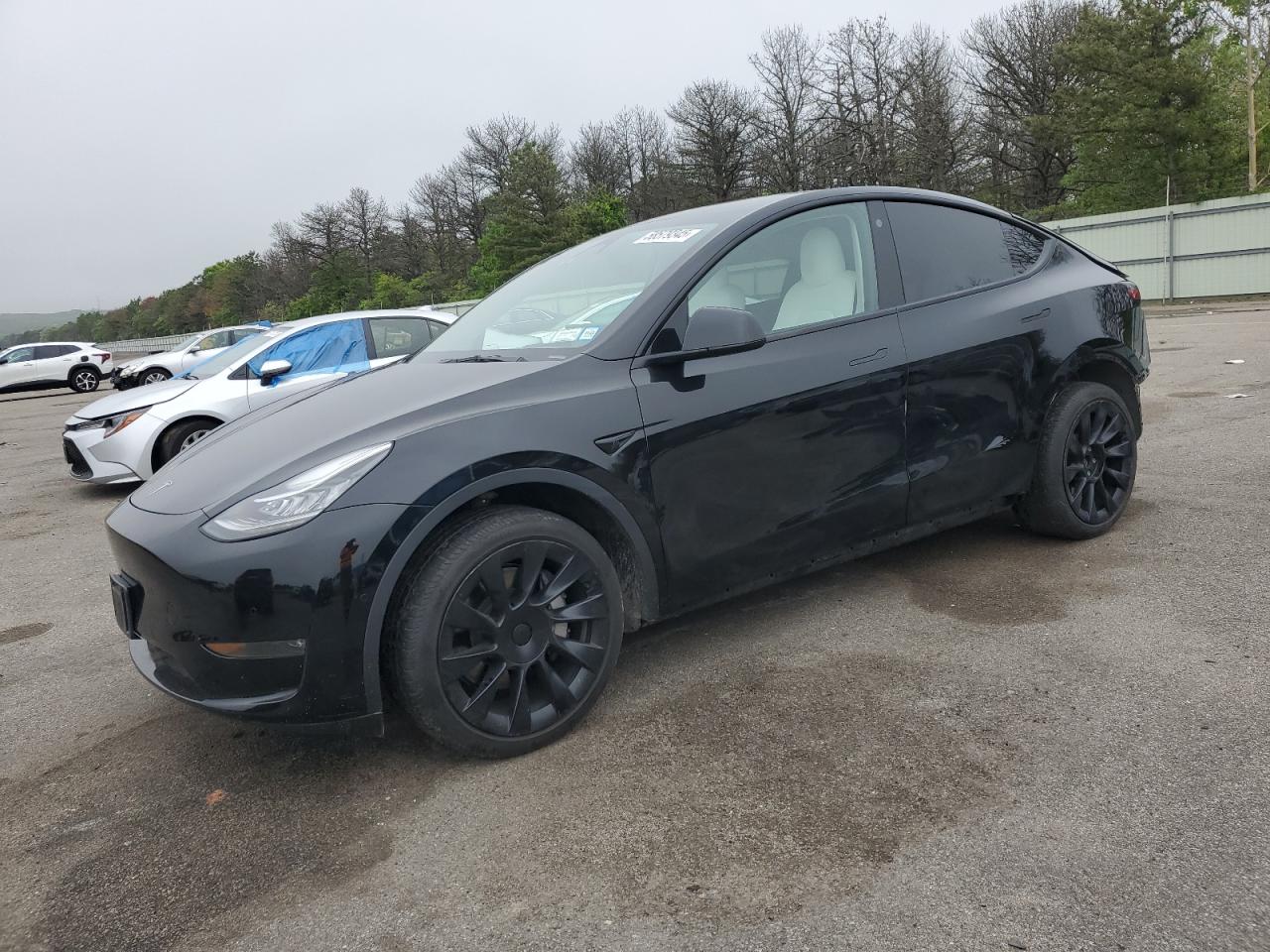 2022 Tesla Model Y na sprzedaż w Brookhaven, NY - Rear End