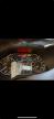 2017 Nissan Maxima 3.5S   for Sale in Earlington, KY - All Over