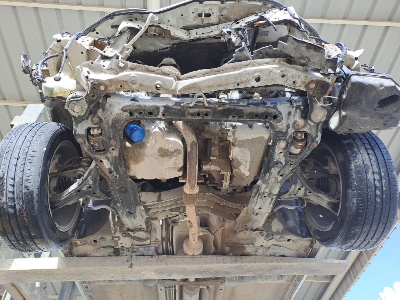 1HGCR2F83GA195822 - 2013 Honda accord - #57922225