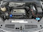 2012 Volkswagen Tiguan S იყიდება Jacksonville-ში, FL - All Over