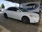 2008 Toyota Camry Ce на продаже в Hayward, CA - Minor Dent/Scratches