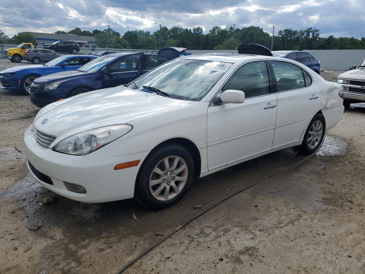 2003 Lexus Es 300 for Sale in Louisville, KY - Rear End
