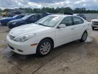 2003 Lexus Es 300 for Sale in Louisville, KY - Rear End