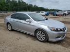 2013 Honda Accord Exl   for Sale in Greenwell Springs, LA - Side