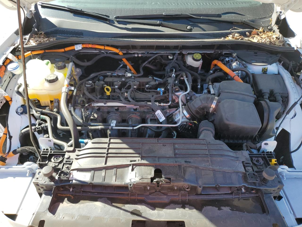 2021 Ford Escape Titanium VIN: 1FMCU9DZ9MUA02709 Lot: 56355255