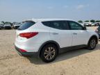 2013 Hyundai Santa Fe Sport  en Venta en San Antonio, TX - Minor Dent/Scratches