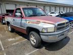 1997 Dodge Ram 1500  for Sale in Louisville, KY - Front End