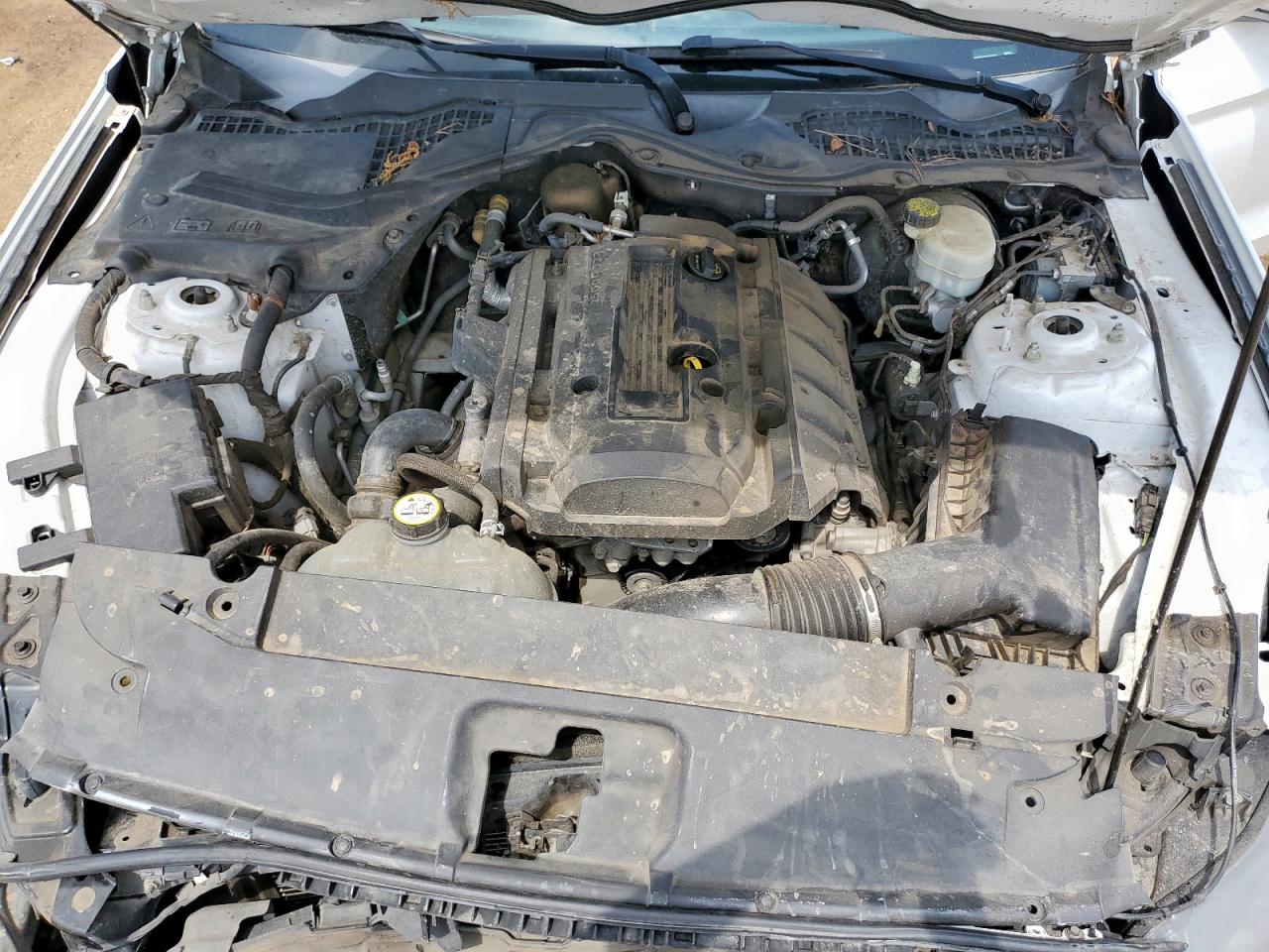 2015 Ford Mustang VIN: 1FA6P8TH3F5362735 Lot: 57320755