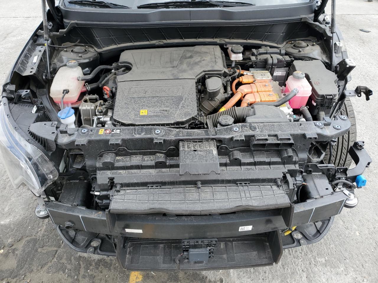 2023 Kia Niro Ex VIN: KNDCR3LE0P5112094 Lot: 54944465