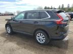 2024 HONDA CR-V LX   for sale at Copart ON - TORONTO