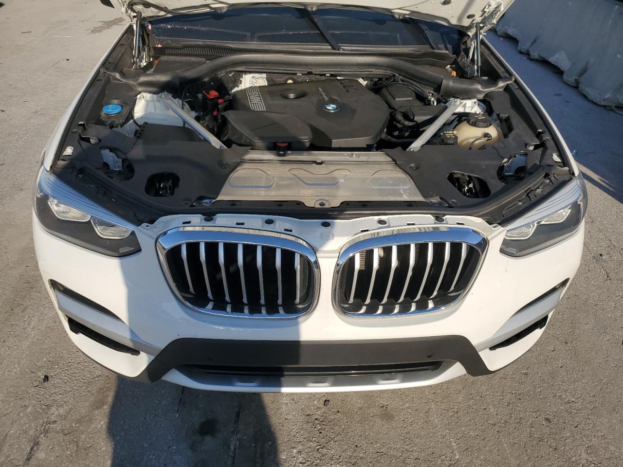 2019 BMW X3 Sdrive30I VIN: 5UXTR7C51KLF36493 Lot: 57277335