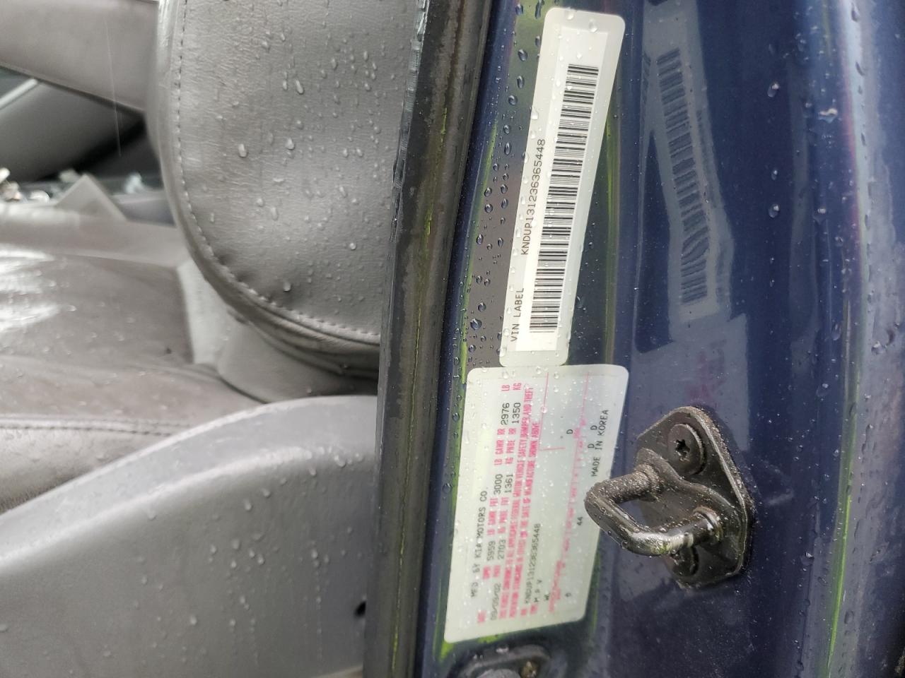 2003 Kia Sedona Ex VIN: KNDUP131236365448 Lot: 56361585