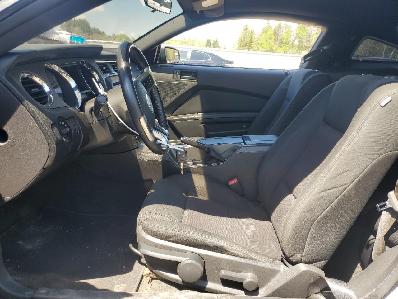 2014 Ford Mustang VIN: 1ZVBP8AM4E5213982 Lot: 55425525