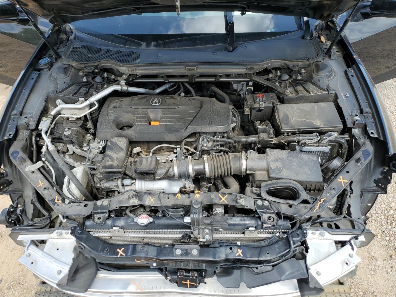 2021 Acura Tlx Technology VIN: 19UUB5F41MA012761 Lot: 56916555