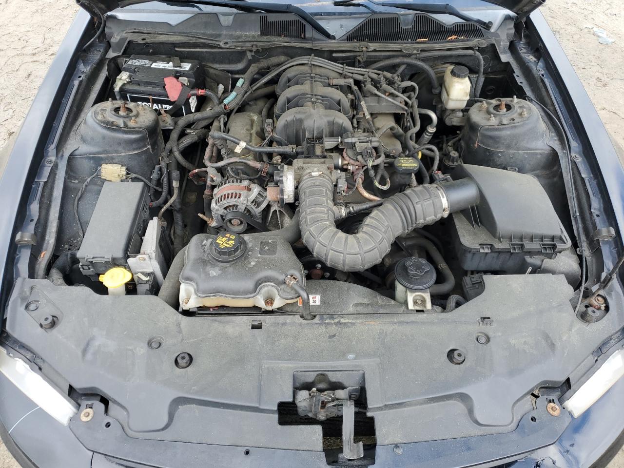 2010 Ford Mustang VIN: 1ZVBP8AN7A5162318 Lot: 56390695