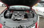 2015 Cadillac Srx Luxury Collection na sprzedaż w Apopka, FL - Minor Dent/Scratches