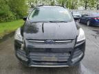 2013 Ford Escape Se за продажба в Arlington, WA - Rear End