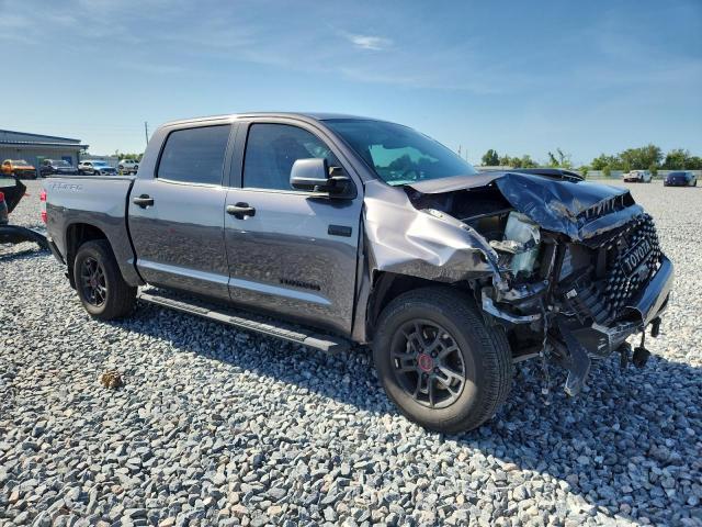  TOYOTA TUNDRA 2021 Gray