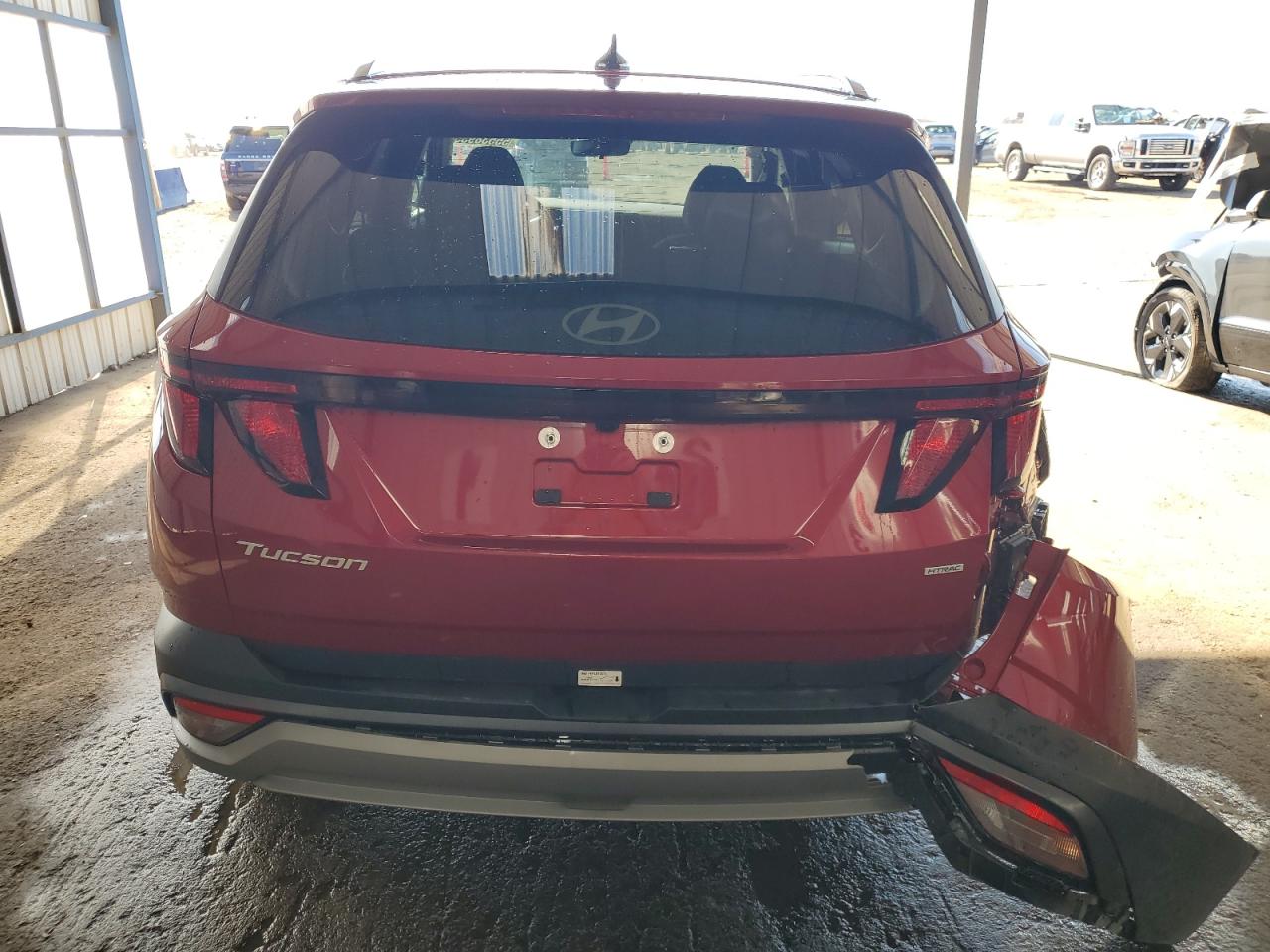 2025 Hyundai Tucson Sel VIN: 5NMJBCDE8SH493323 Lot: 55538935